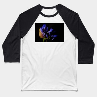 Agapanthus flower head opening up Baseball T-Shirt